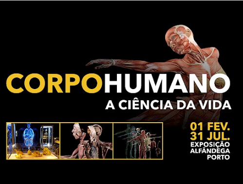 Corpo Humano – a Ciência da Vida Exposição na Alfândega (Porto) até 31.07.2019